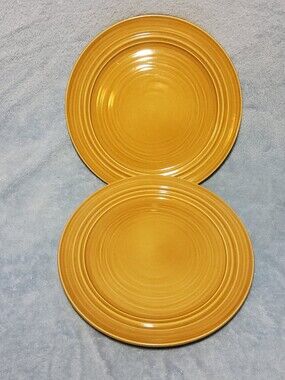 (2) Harper Collection By Noble Excellence Stoneware Plates Golden Rustic Yellow